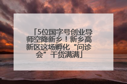 5位国字号创业导师空降新乡！新乡高新区这场孵化“问诊会”干货满满