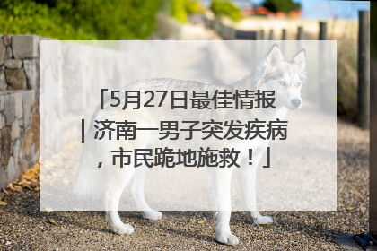 5月27日最佳情报｜济南一男子突发疾病，市民跪地施救！