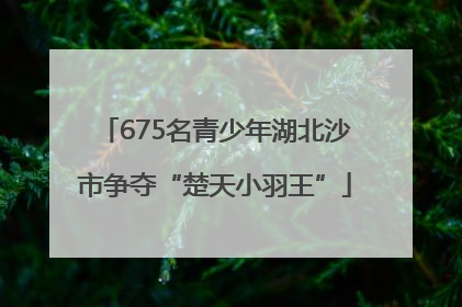 675名青少年湖北沙市争夺“楚天小羽王”