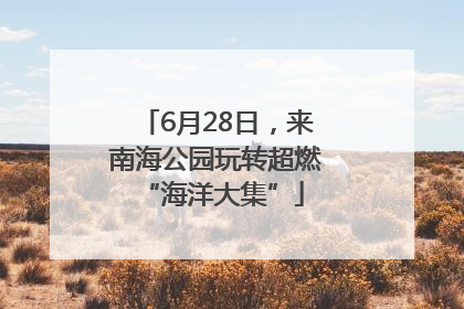 6月28日，来南海公园玩转超燃 “海洋大集”