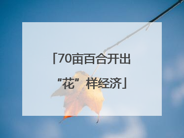 70亩百合开出“花”样经济