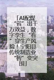 AI配煤“省”出千万效益，数字孪生“看”穿生产风险！宁阳县传统制造业“智”变突围