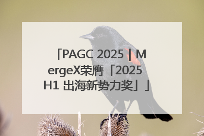 PAGC 2025｜MergeX荣膺「2025 H1 出海新势力奖」